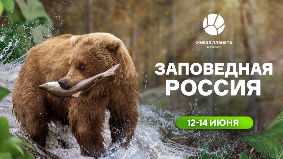 жп