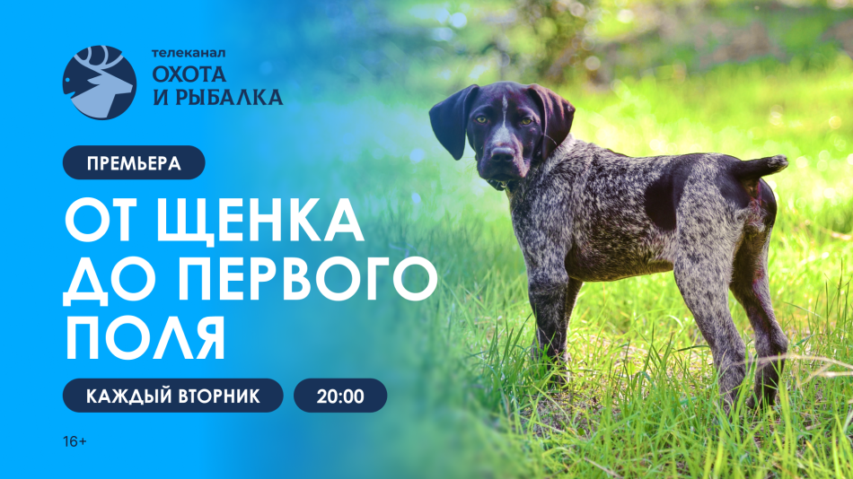 ор
