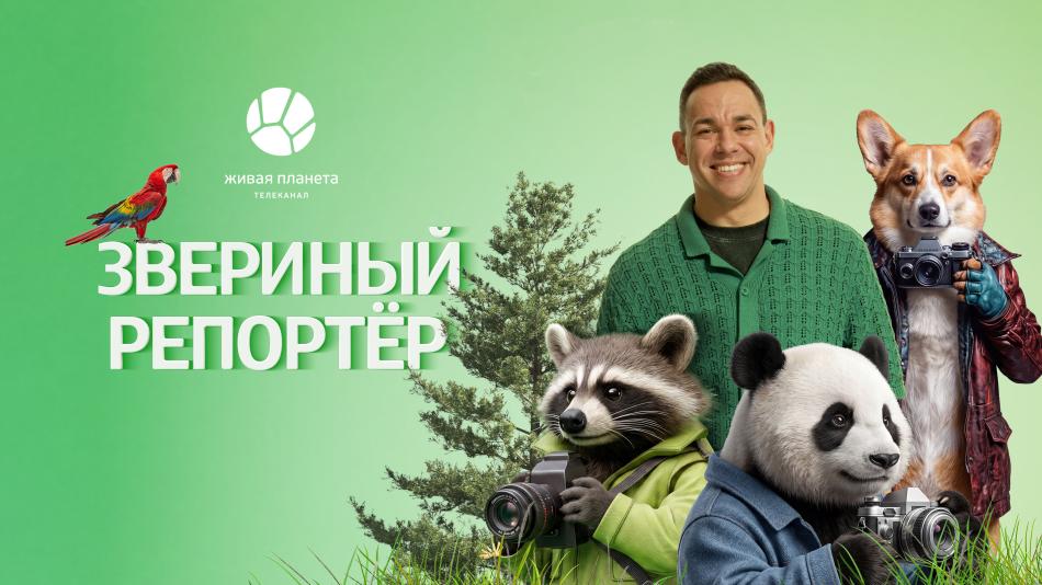 зр